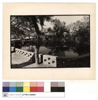 藏品(正面)的圖片