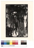 藏品(銃樓)的圖片