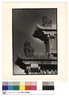 藏品(石獅(上))的圖片