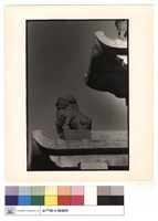 藏品(石獅(上))的圖片