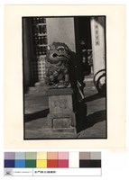 藏品(石獅(下))的圖片