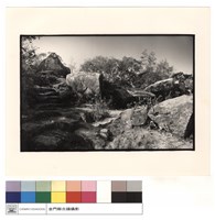 藏品(靜觀之石)的圖片