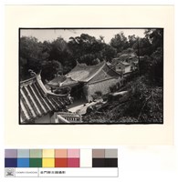 藏品(側景)的圖片