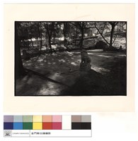 藏品(正觀)的圖片