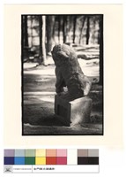 藏品(背觀)的圖片