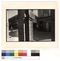 藏品(側面)的圖片