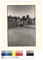 藏品(右側)的圖片