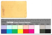 藏品(背面)的圖片