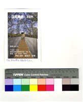 藏品(背面)的圖片