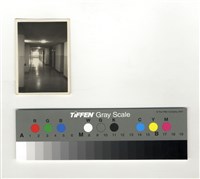 藏品(甬道)的圖片