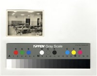 藏品(餐廳)的圖片