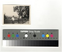 藏品(人、樹)的圖片