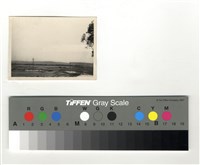 藏品(遠山、電線桿、樹)的圖片