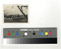 藏品(兩坡水房屋、人)的圖片