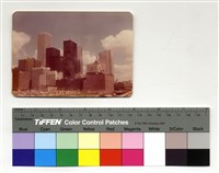 藏品(正面　大樓)的圖片