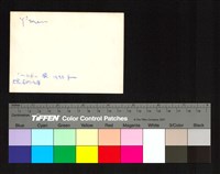 藏品(背面題字)的圖片