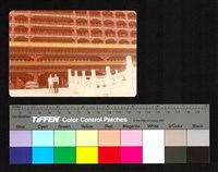 藏品(合照)的圖片