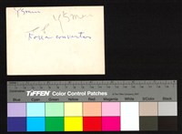 藏品(背面題字)的圖片