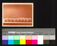 藏品(建築模型)的圖片