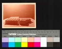 藏品(建築模型)的圖片