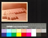 藏品(建築模型)的圖片