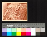 藏品(建築模型俯瞰)的圖片