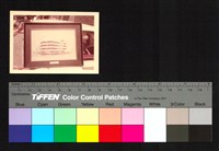 藏品(建築透視圖翻拍)的圖片