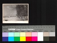 藏品(外國風景照)的圖片