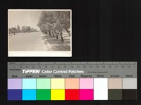 藏品(外國風景照)的圖片