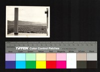 藏品(陽台風景)的圖片