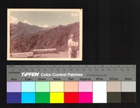 藏品(山上)的圖片