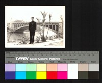 藏品(橋)的圖片