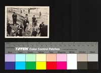 藏品(人群)的圖片