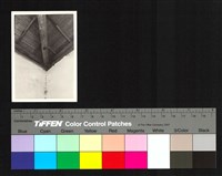 藏品(室內　木屋頂)的圖片