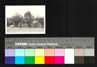 藏品(街道建築)的圖片