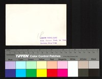 藏品(背面印記　　)的圖片