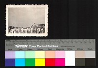 藏品(人群)的圖片