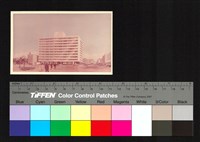 藏品(透視圖)的圖片