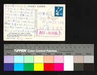 藏品(背面)的圖片