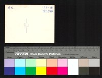 藏品(背面題字)的圖片