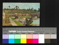 藏品(正面)的圖片