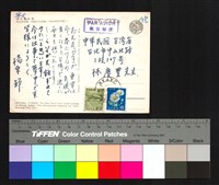 藏品(背面)的圖片