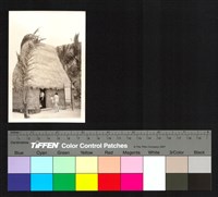 藏品(草屋)的圖片