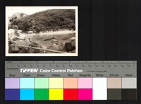 藏品(餵鳥)的圖片