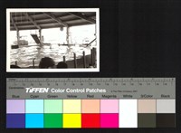 藏品(水池)的圖片