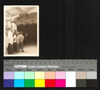 藏品(人群)的圖片