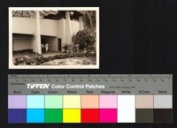 藏品(建築物、水池)的圖片