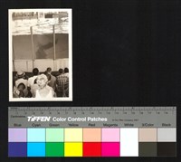 藏品(表演活動)的圖片