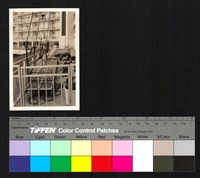 藏品(陽台)的圖片