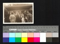 藏品(派對)的圖片